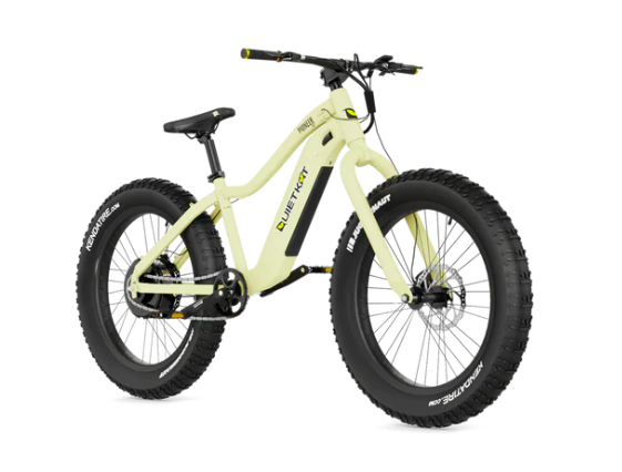 ebikes For Sale in Florida USA