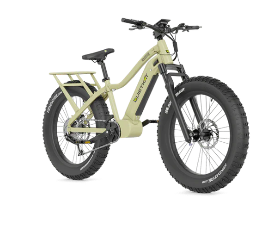 Buy electric bike online through Financing NO CREDIT CHECK