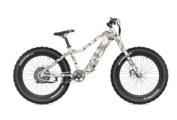Best Mountain ebikes under $2500