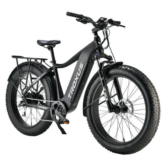 Best fishing electric bike
